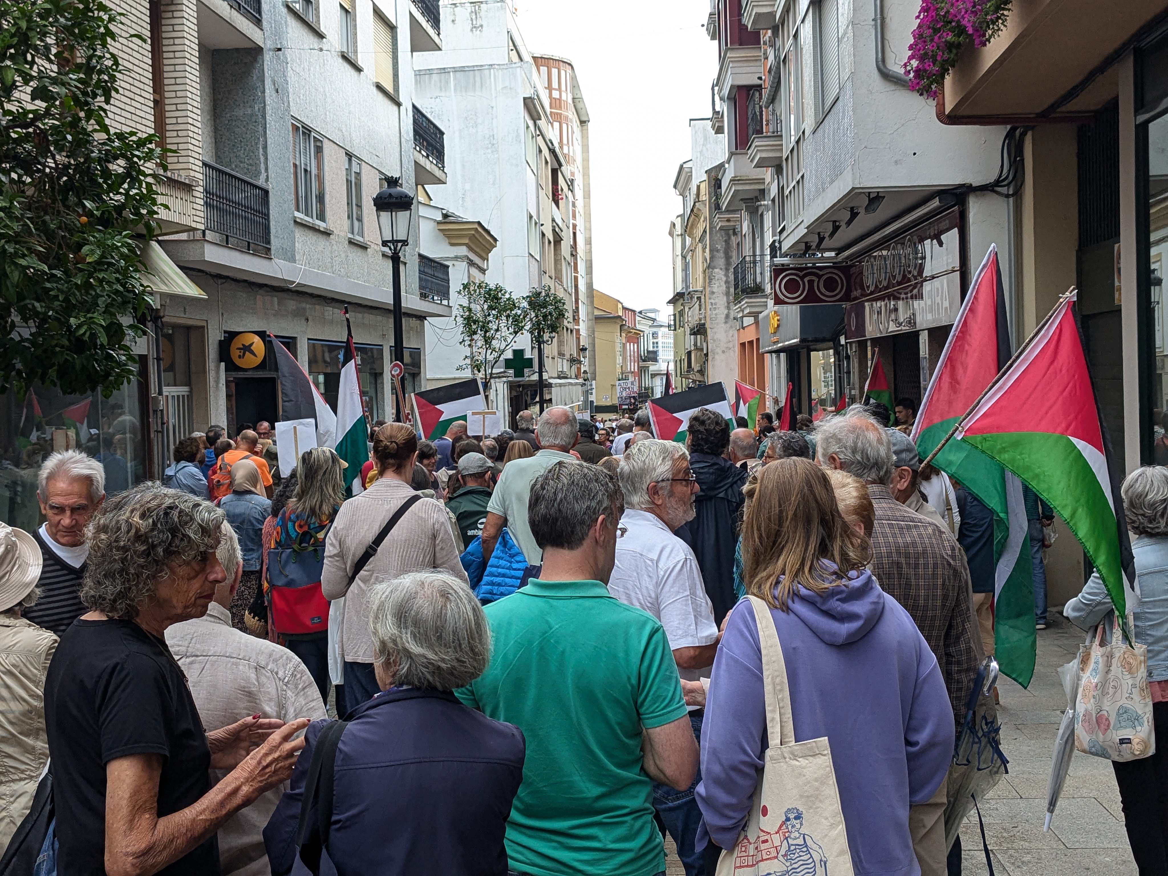 Foto dunha manifestación por Palestina. Unha rúa duns seis metros de ancho está chea de xente con bandeiras de cor vermella, negra, branca e verde. 